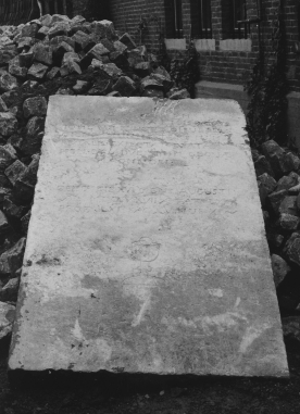 ZEPBaertssteen1998REPWDLV