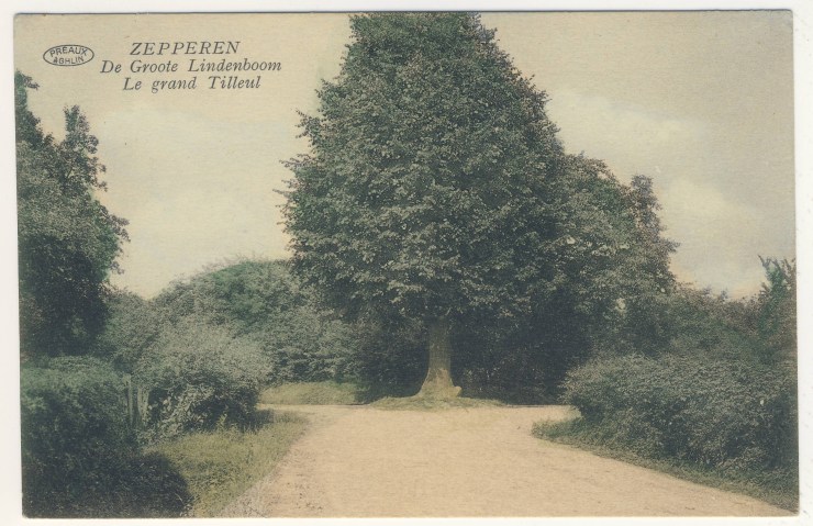 ZEPDikkeLindekaartgekleurd1925ca