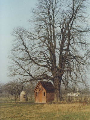 ZEPGenovevaputkapel1977REPWDLV