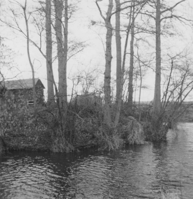 ZEPMotNatenbampt24041973REPWDLV