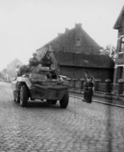 foto-12-remaclgreyhound