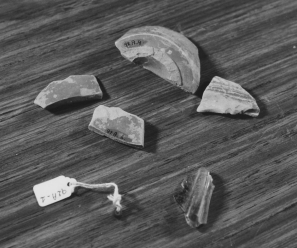 zepstokromeinsevondsten1992repwdlv